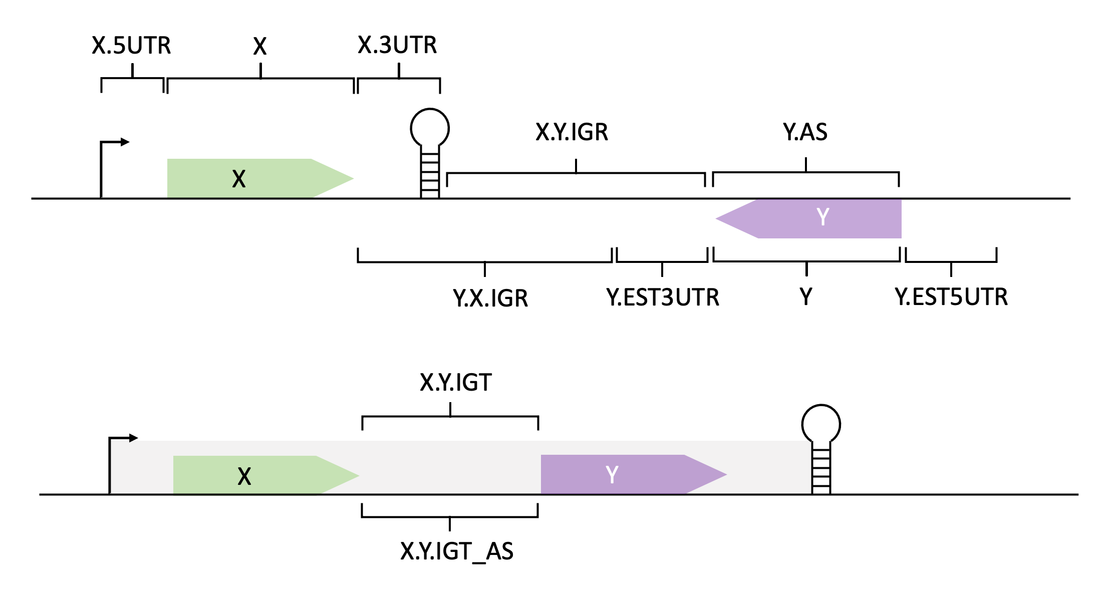 RIL-seq annotations scheme