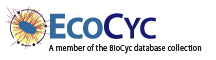 EcoCyc logo